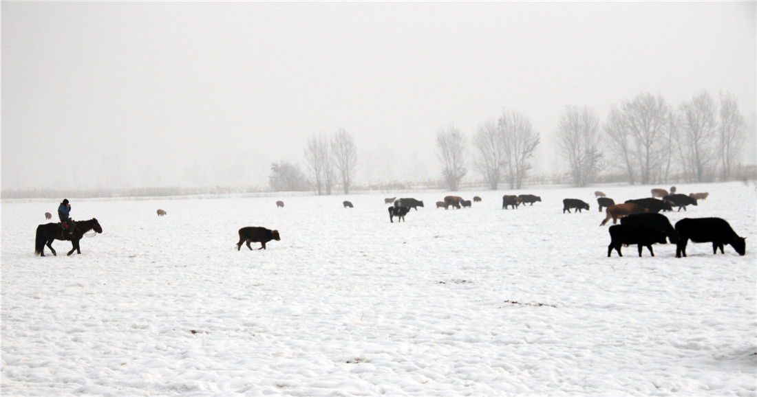 ���� (2).jpg