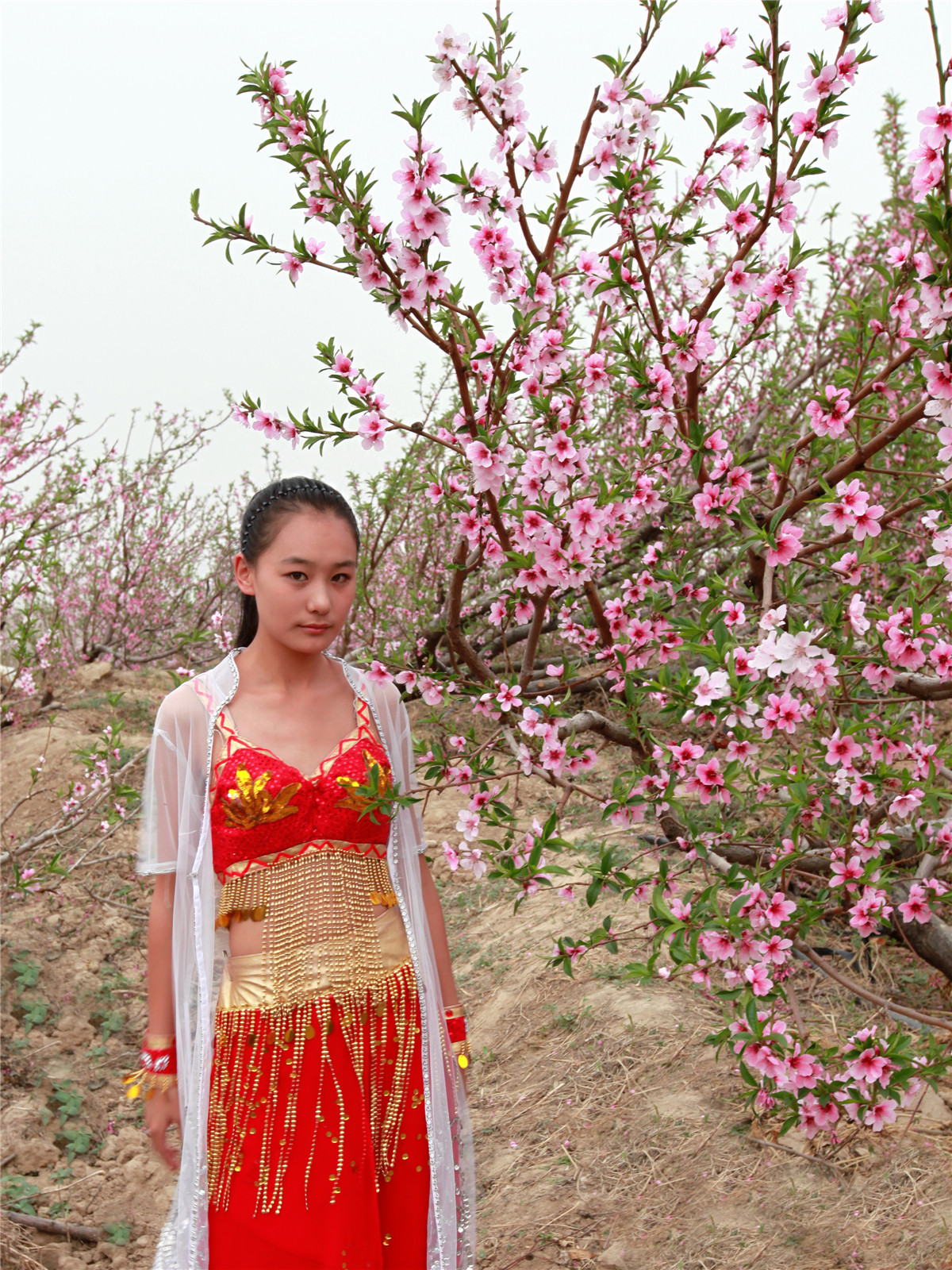 �����һ� (1).jpg