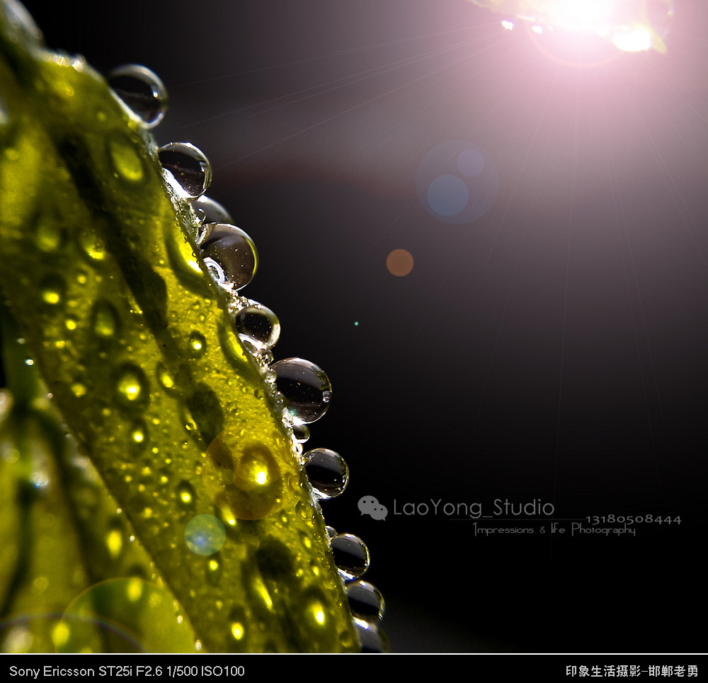 ӡ��������Ӱ