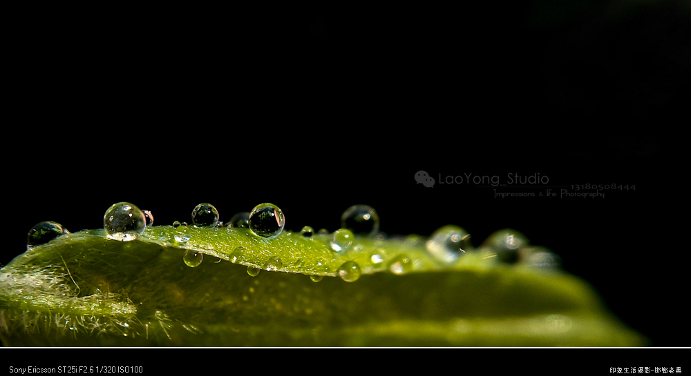 ӡ��������Ӱ