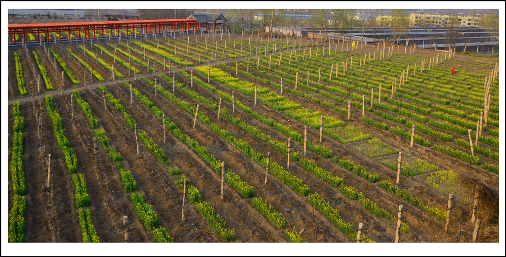 2014��4��7���һ���Ƭ���� 0041.jpg