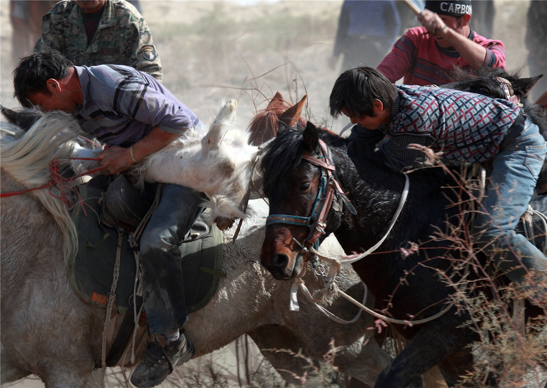 ���� (3).jpg