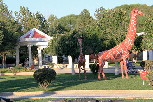 �����㳡һ��