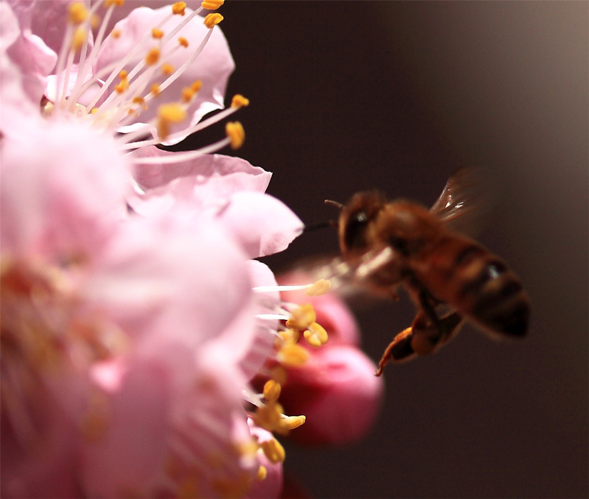 ���ڵ��۷� (3).jpg