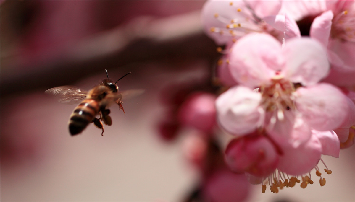 ���ڵ��۷� (5).jpg