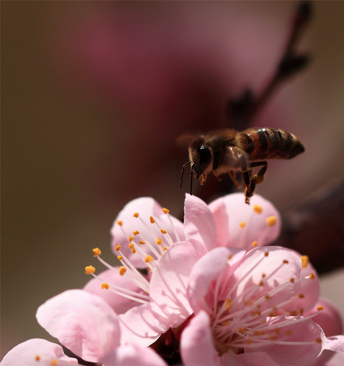 ���ڵ��۷� (6).jpg