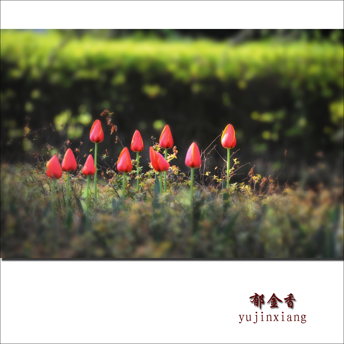 ������7 - ����.jpg