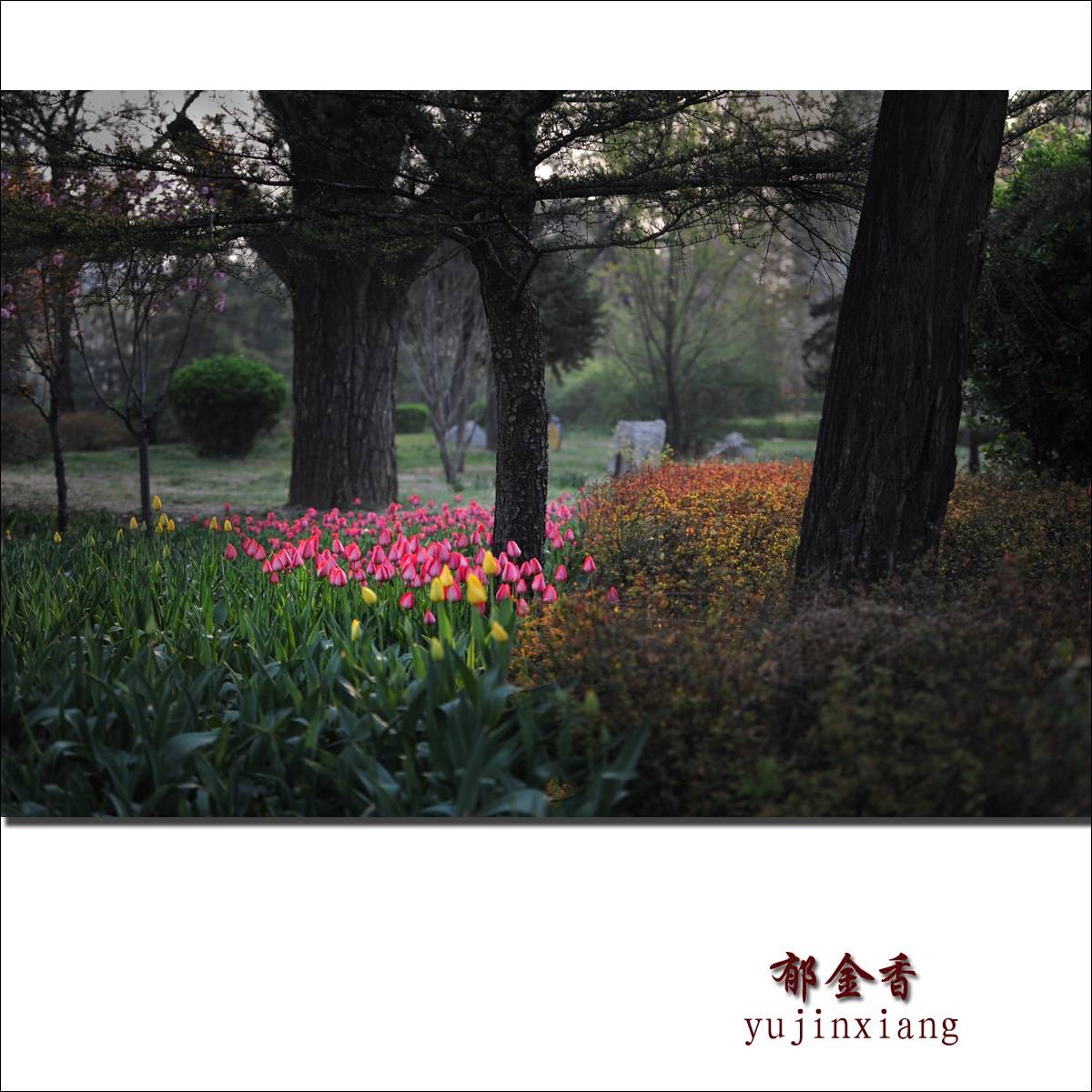 ������4 - ����.jpg