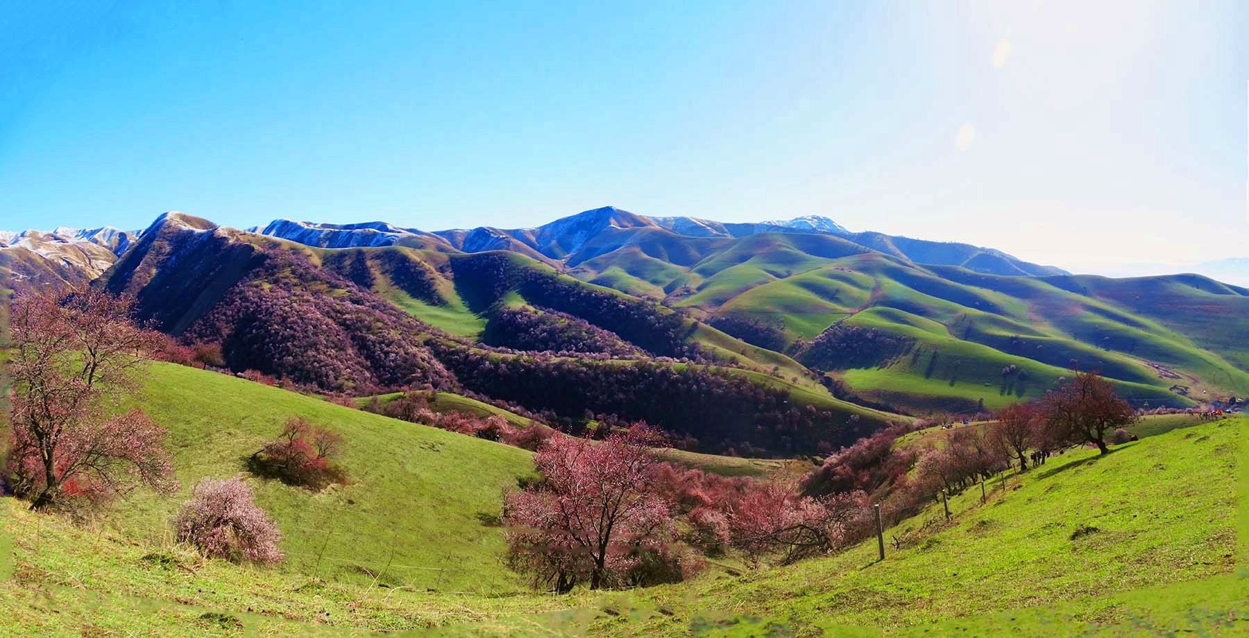 ������Դ�������ӻ�����Ӱ��һ��20140409 (1).jpg