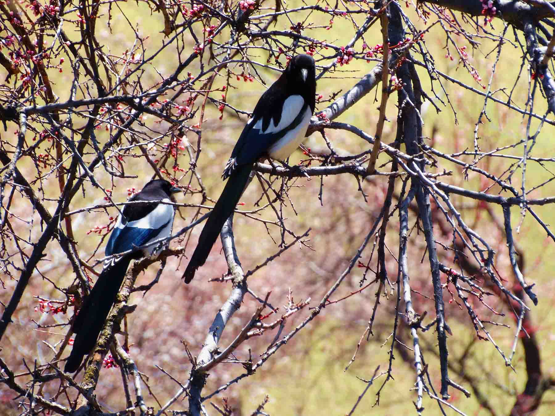 ������Դ�������ӻ�����Ӱ��һ��20140409 (2).jpg