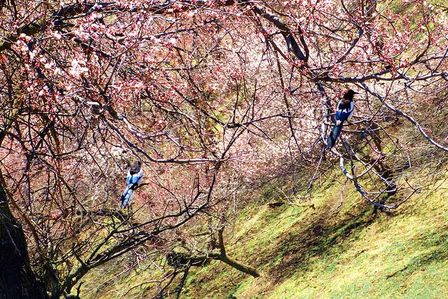 ������Դ�������ӻ�����Ӱ��һ��20140409 (3).jpg