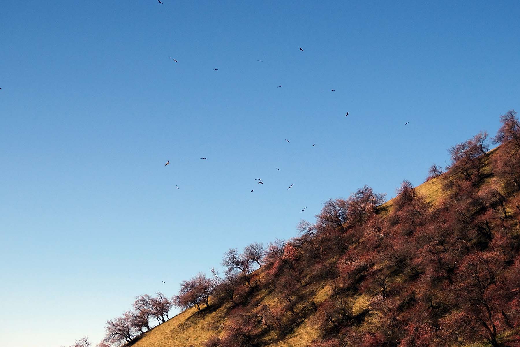 ������Դ�������ӻ�����Ӱ��һ��20140409 (6).jpg