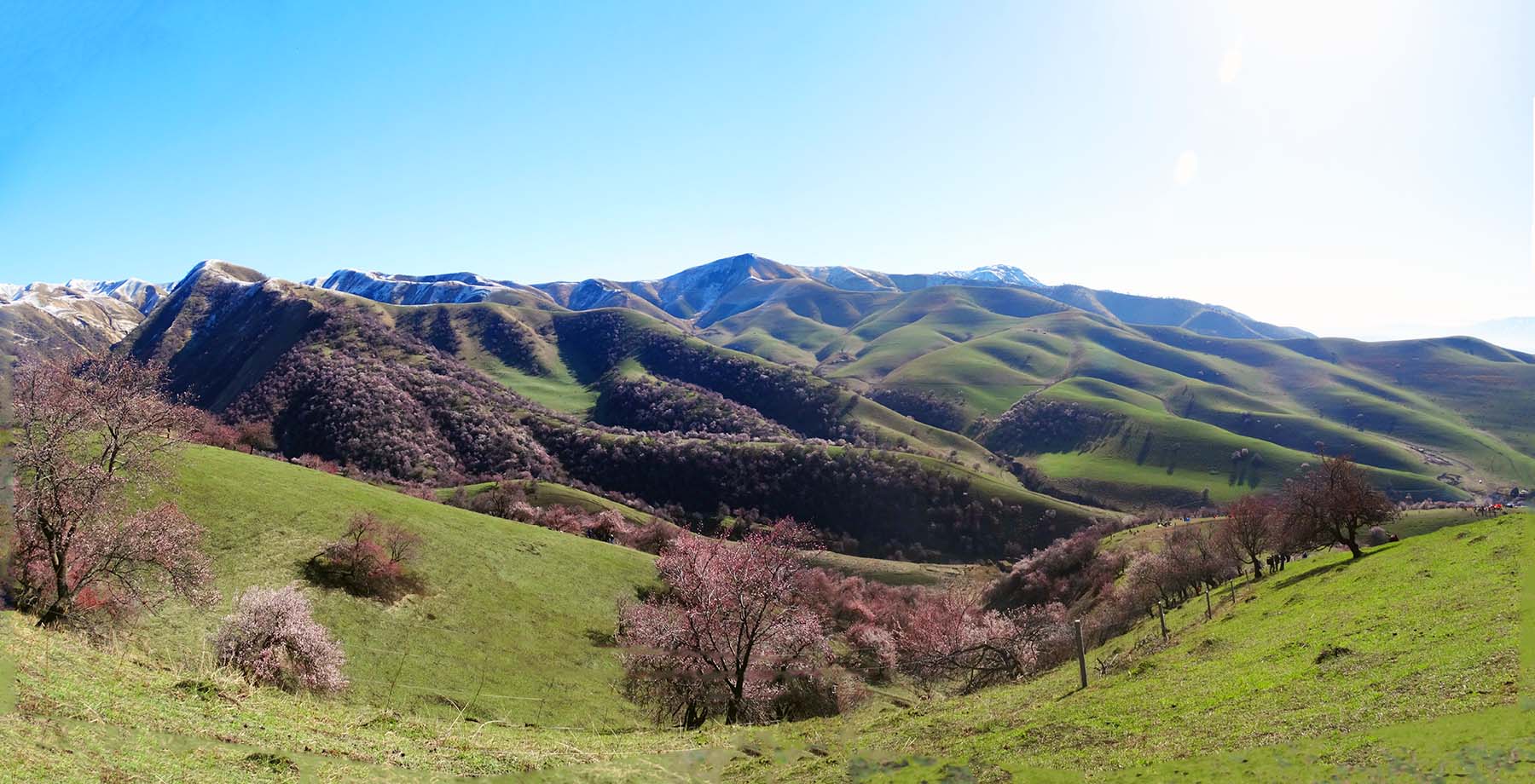 ������Դ�������ӻ�����Ӱ��һ��20140409 (10).jpg