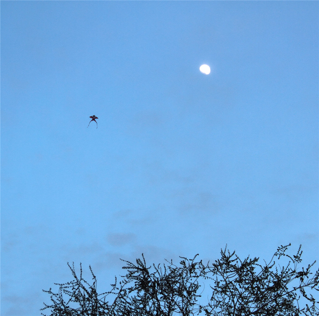 ���� (2).jpg