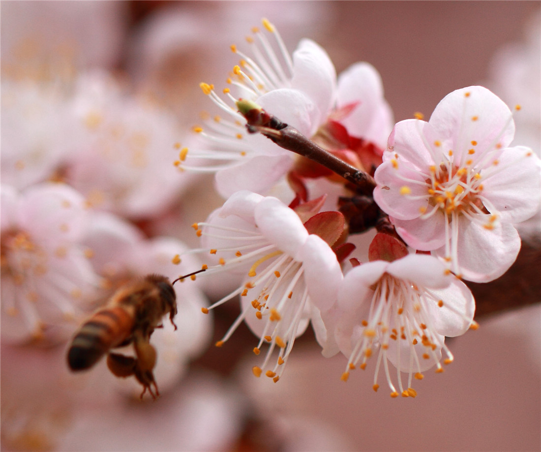 �ӻ����۷� (1).jpg