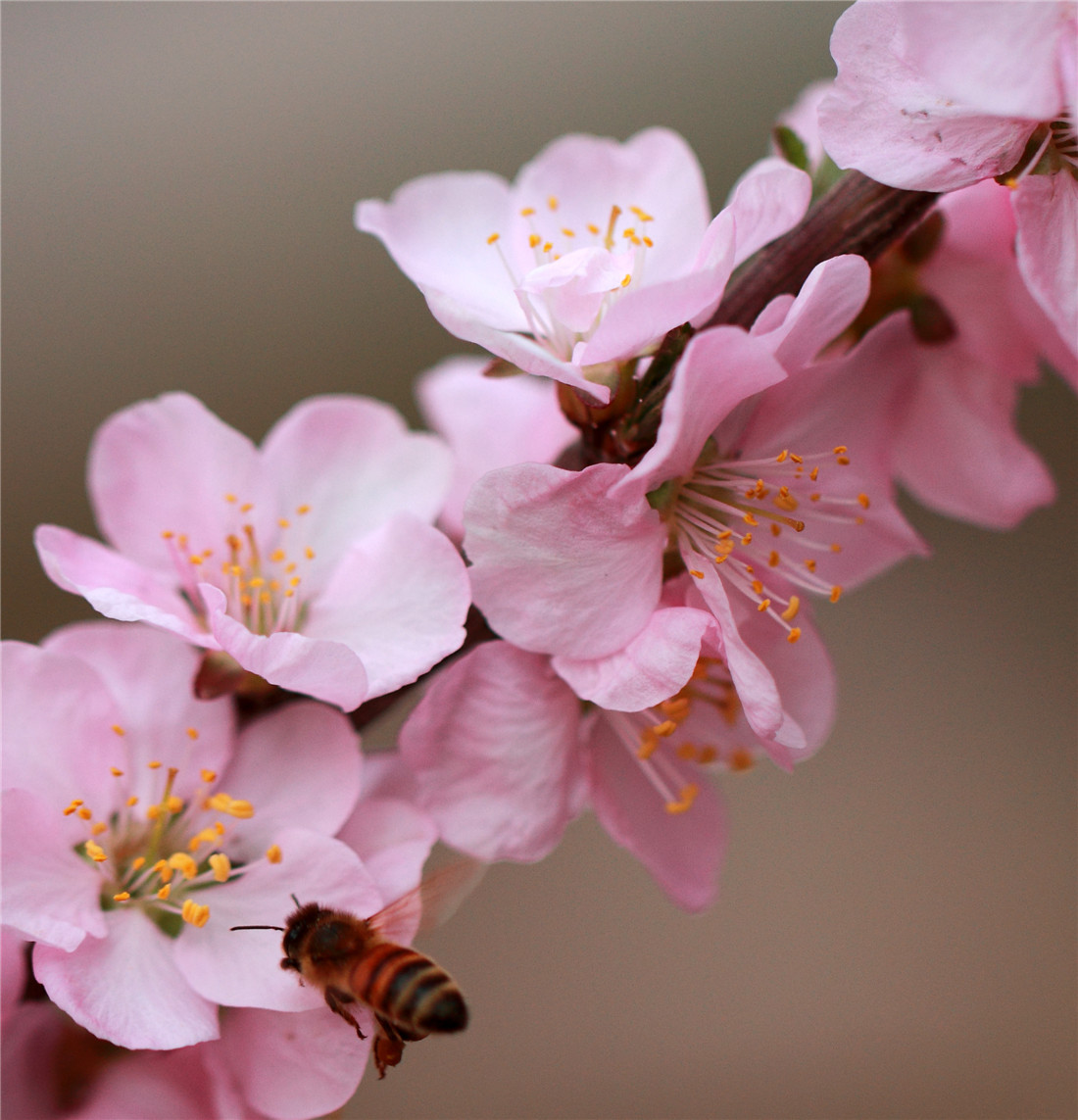 �ӻ����۷� (3).jpg