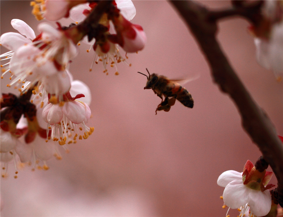 �ӻ����۷� (7).jpg