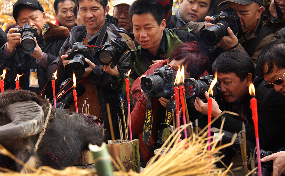 ��������������