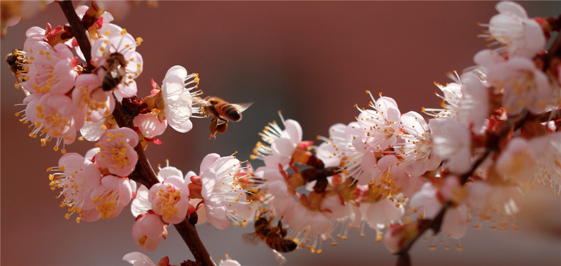 �ӻ����۷� (4).jpg