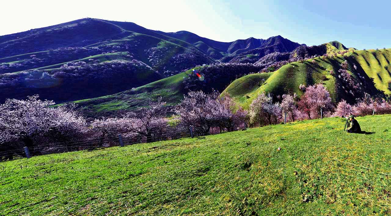 Ϧ��б���ӻ���  (1).jpg