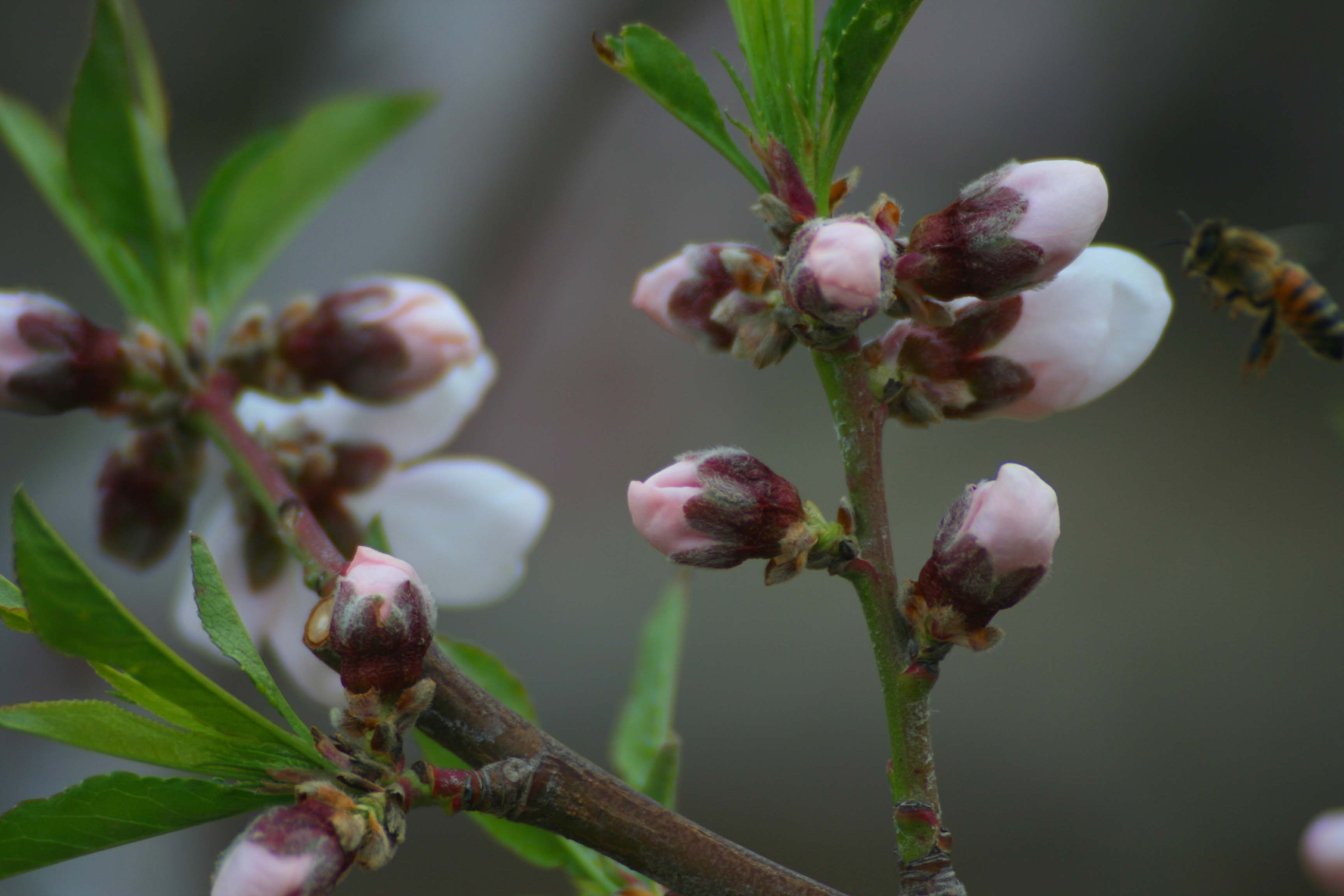 ���͹㳡 0600.jpg