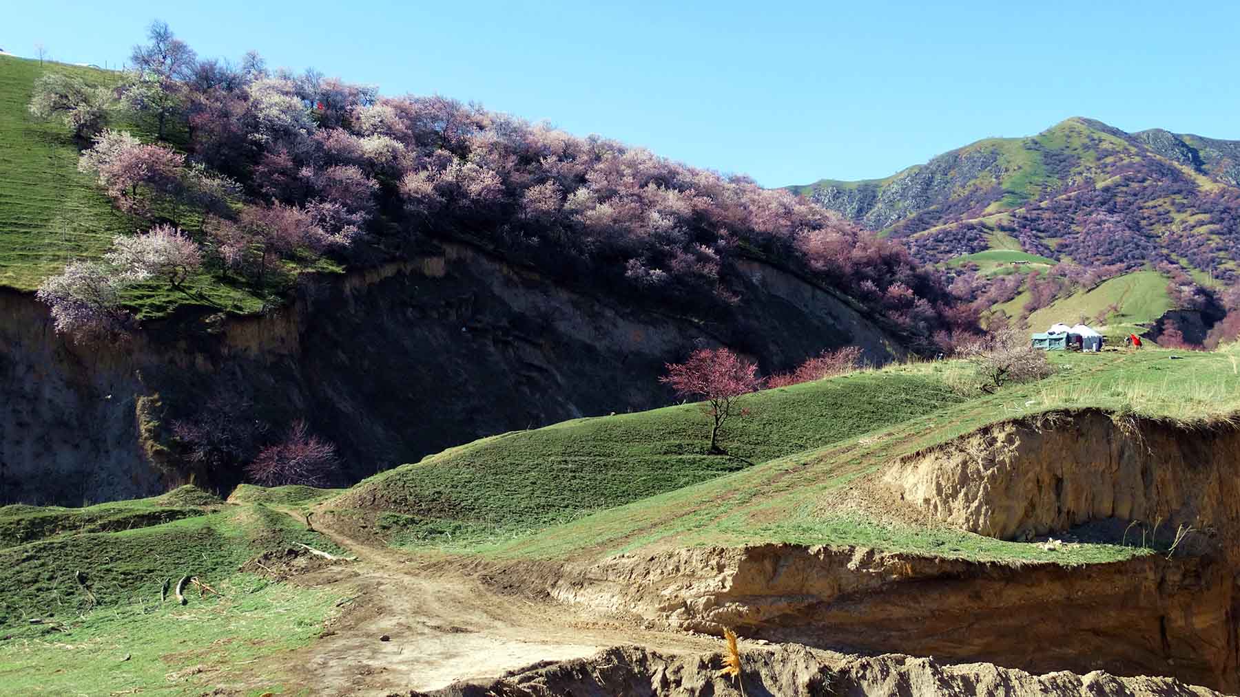 �߽��½�������Դ�������ӻ��������� (6).jpg