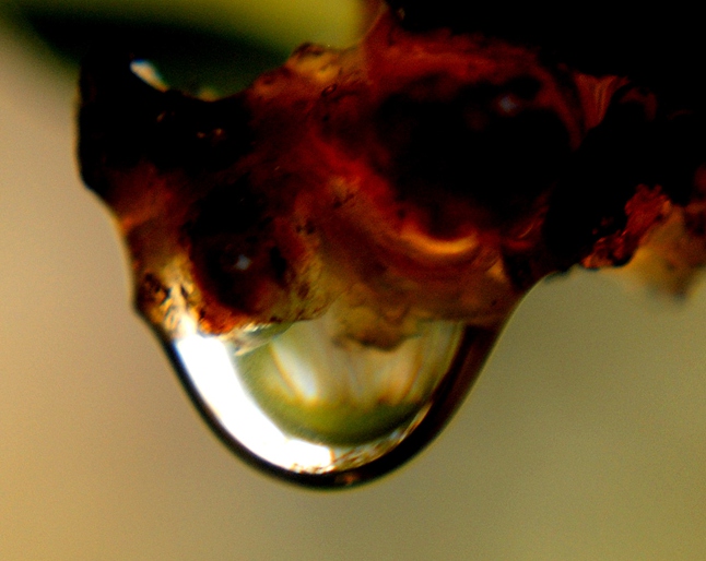 ��Ƭ 042_����.jpg