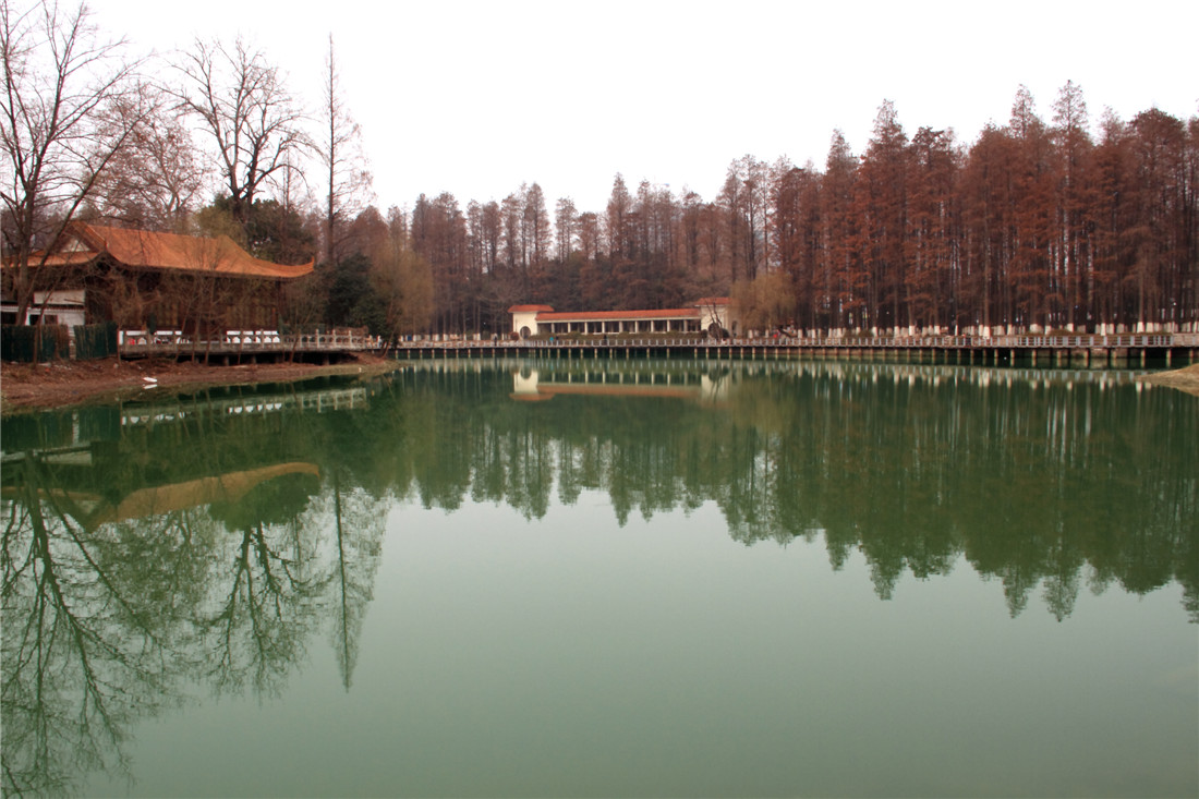 ���е�Ӱ (3).jpg