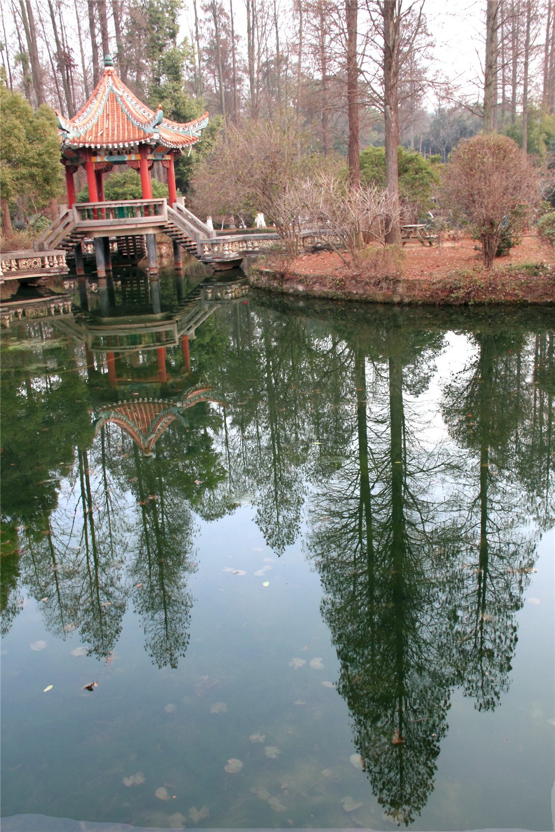 ���е�Ӱ (4).jpg