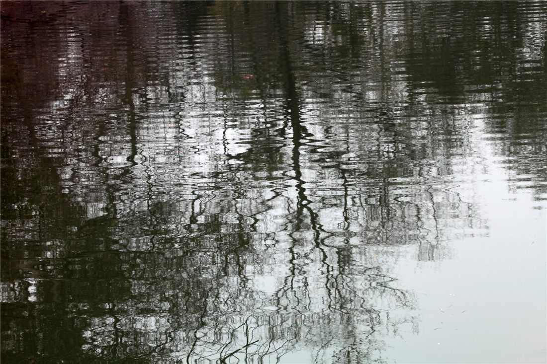 ���е�Ӱ (1).jpg