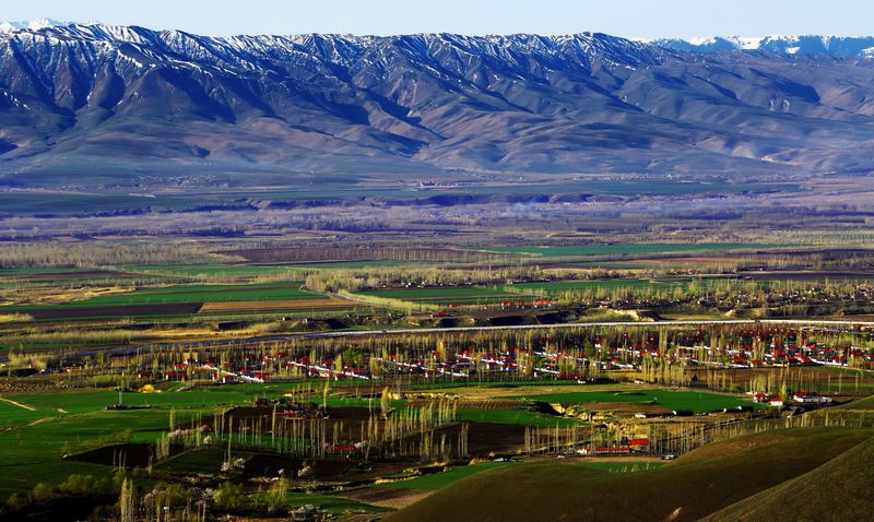 ӭ����ɫů�䣺