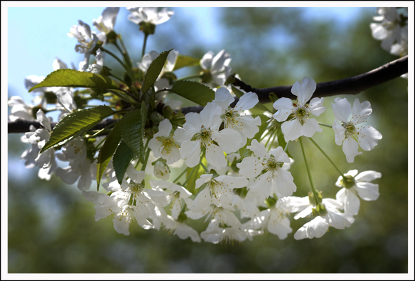 2014��4��3����Ƭ ����00512.jpg