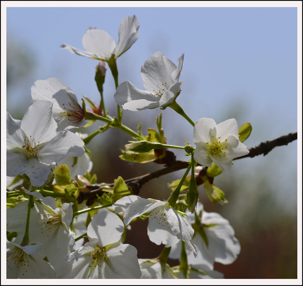 2014��4��3����Ƭ ����02212.jpg