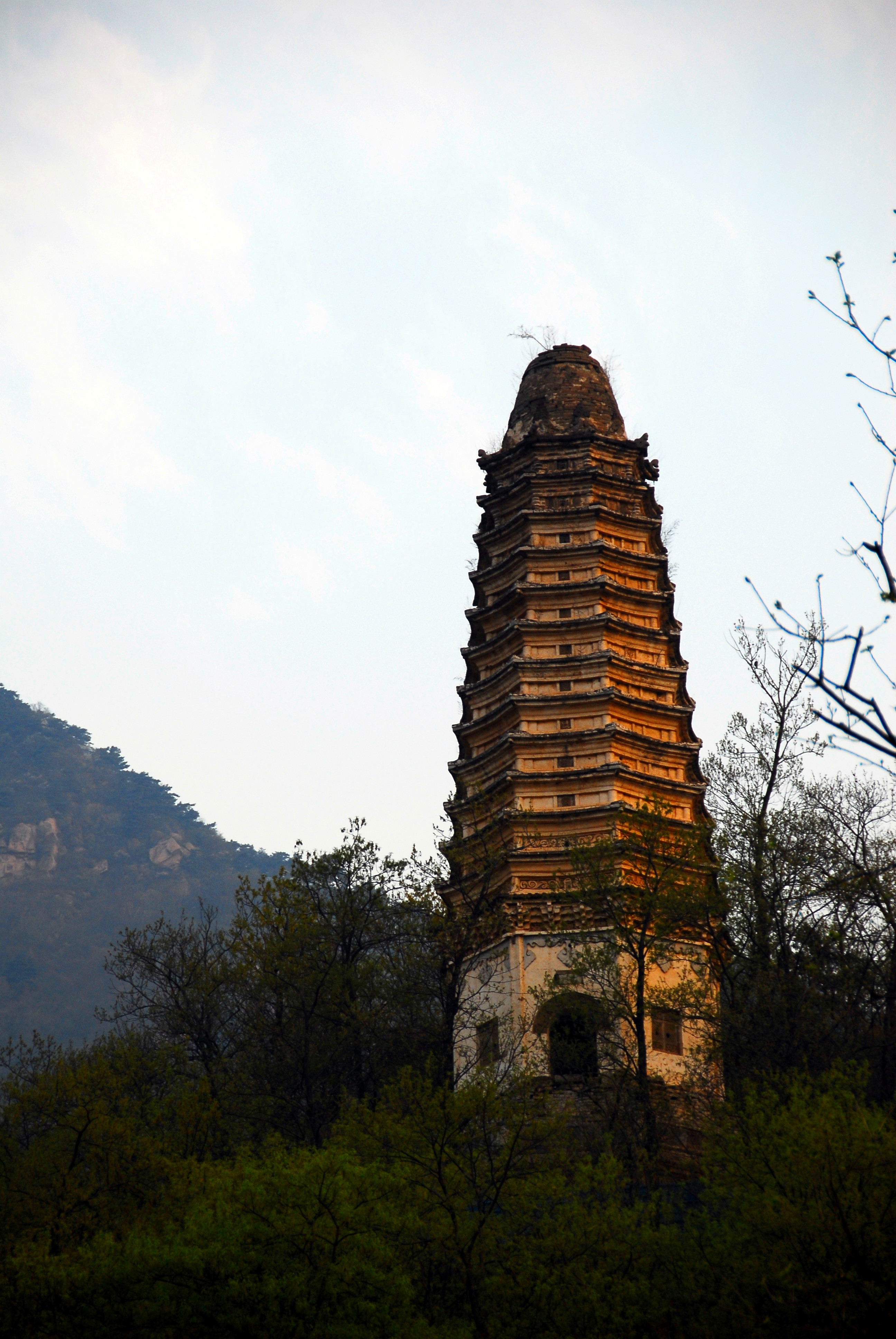 �ɴ�����