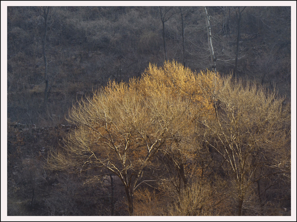 2014��3��20����Ƭ ����12812.jpg