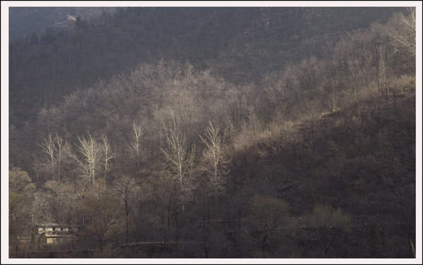 2014��3��20����Ƭ ����12512.jpg