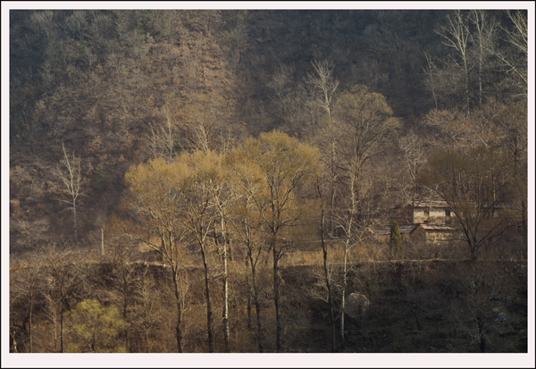 2014��3��20����Ƭ ����13012.jpg