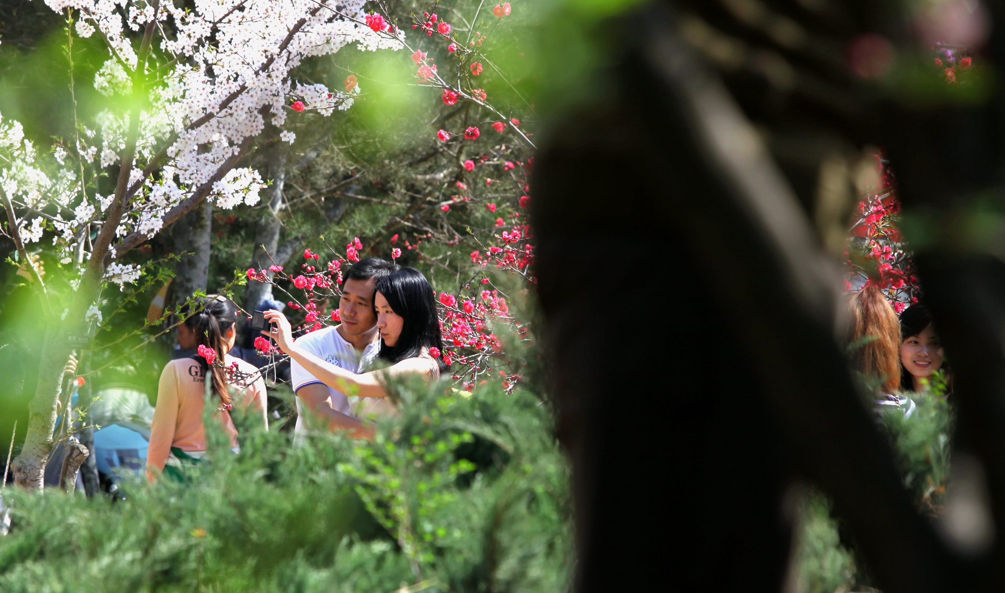 ������Ӱ