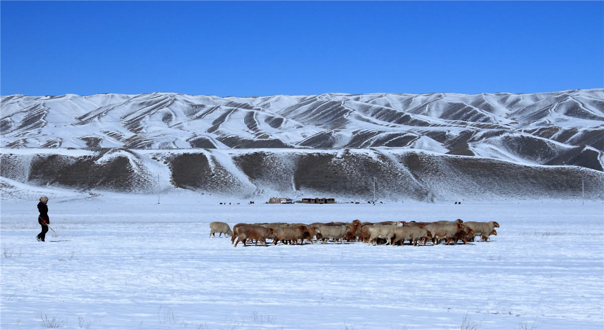 �����˼� (4).jpg