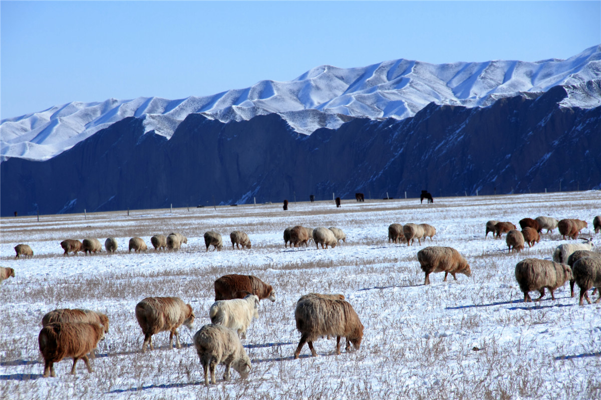 �����˼� (5).jpg