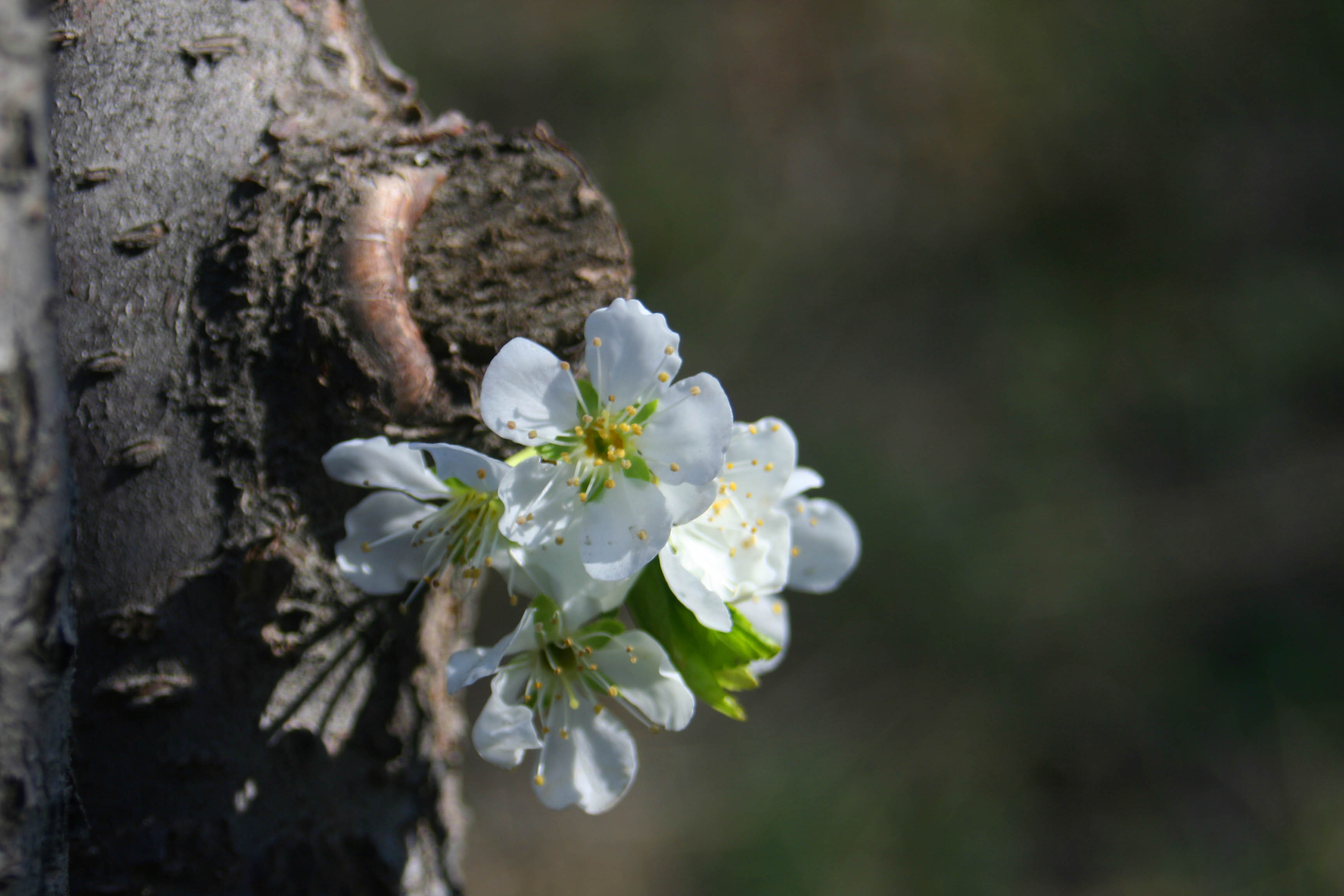 ���͹㳡 010 ����.jpg