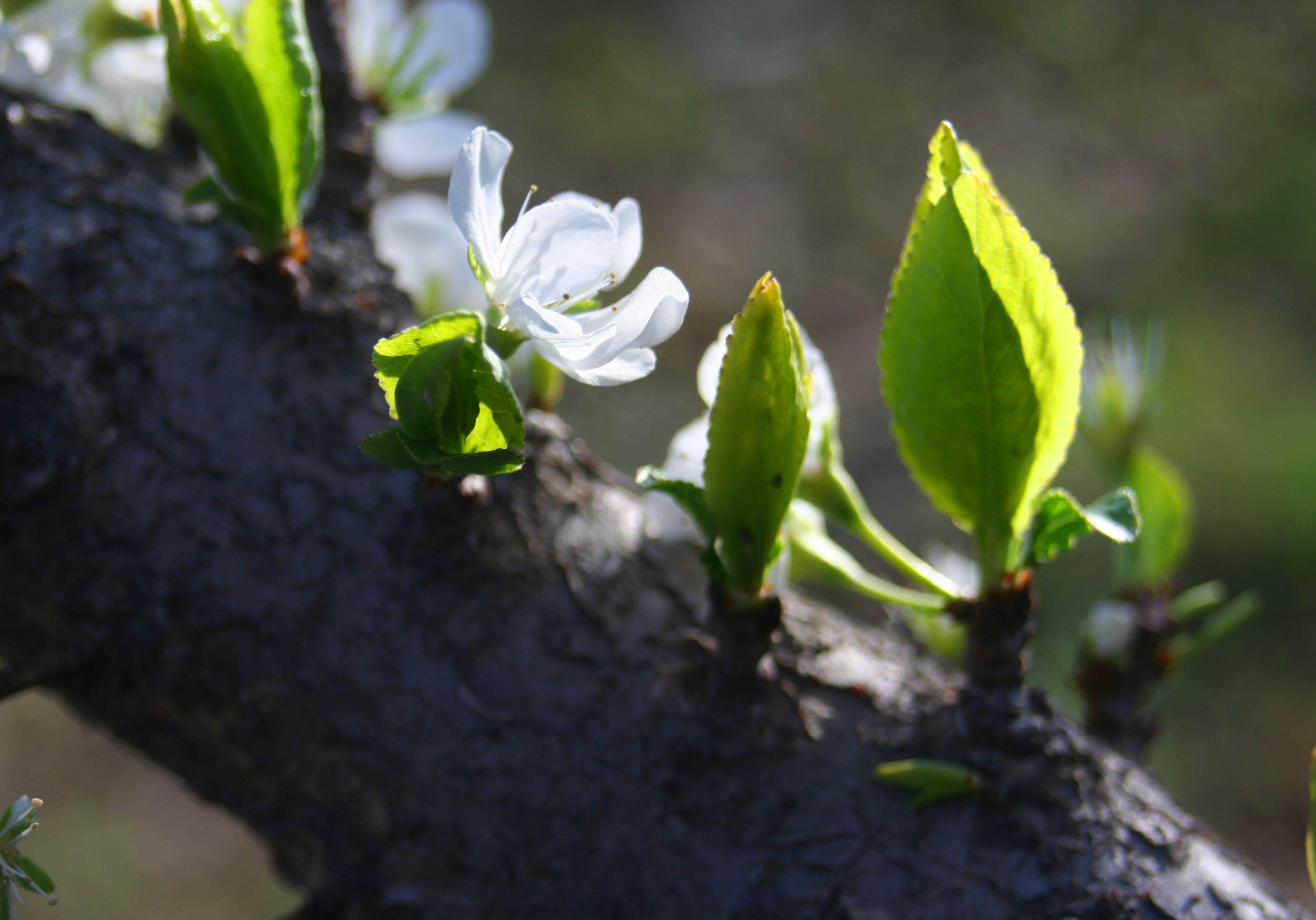 ���͹㳡 005 ����.jpg