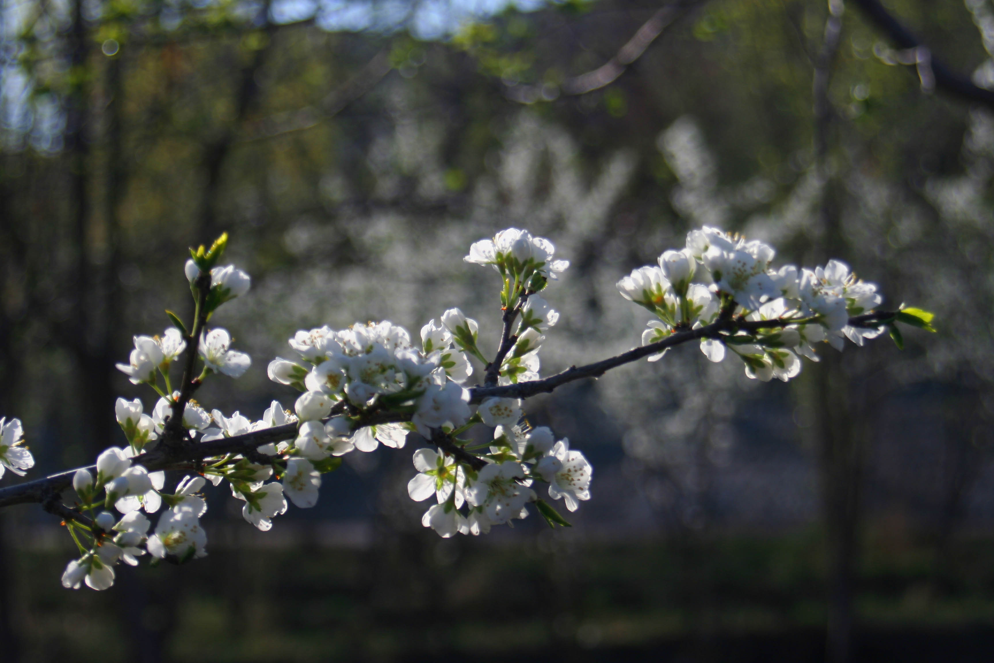 ���͹㳡 007 ����.jpg