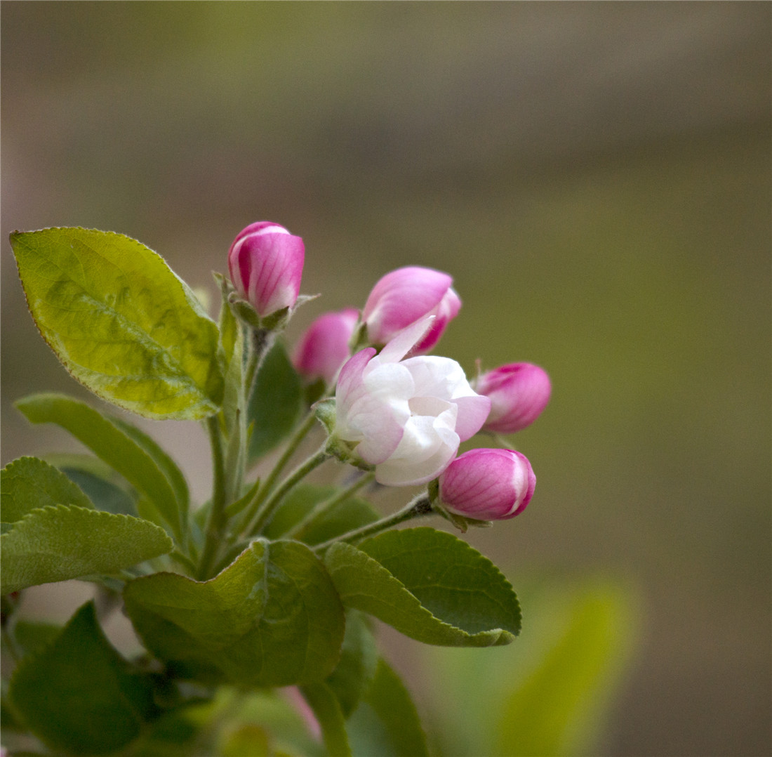 ƻ���� (4).jpg