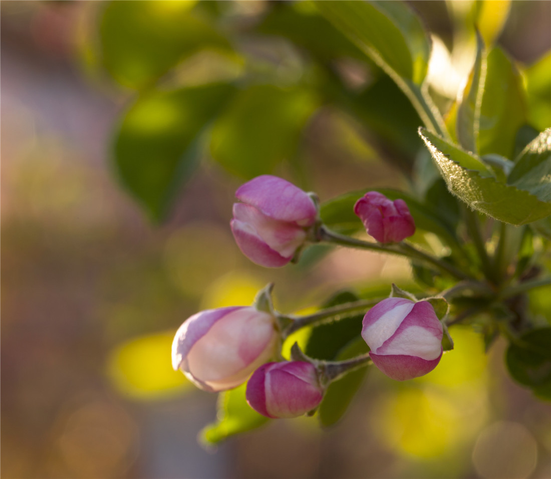 ƻ���� (7).jpg