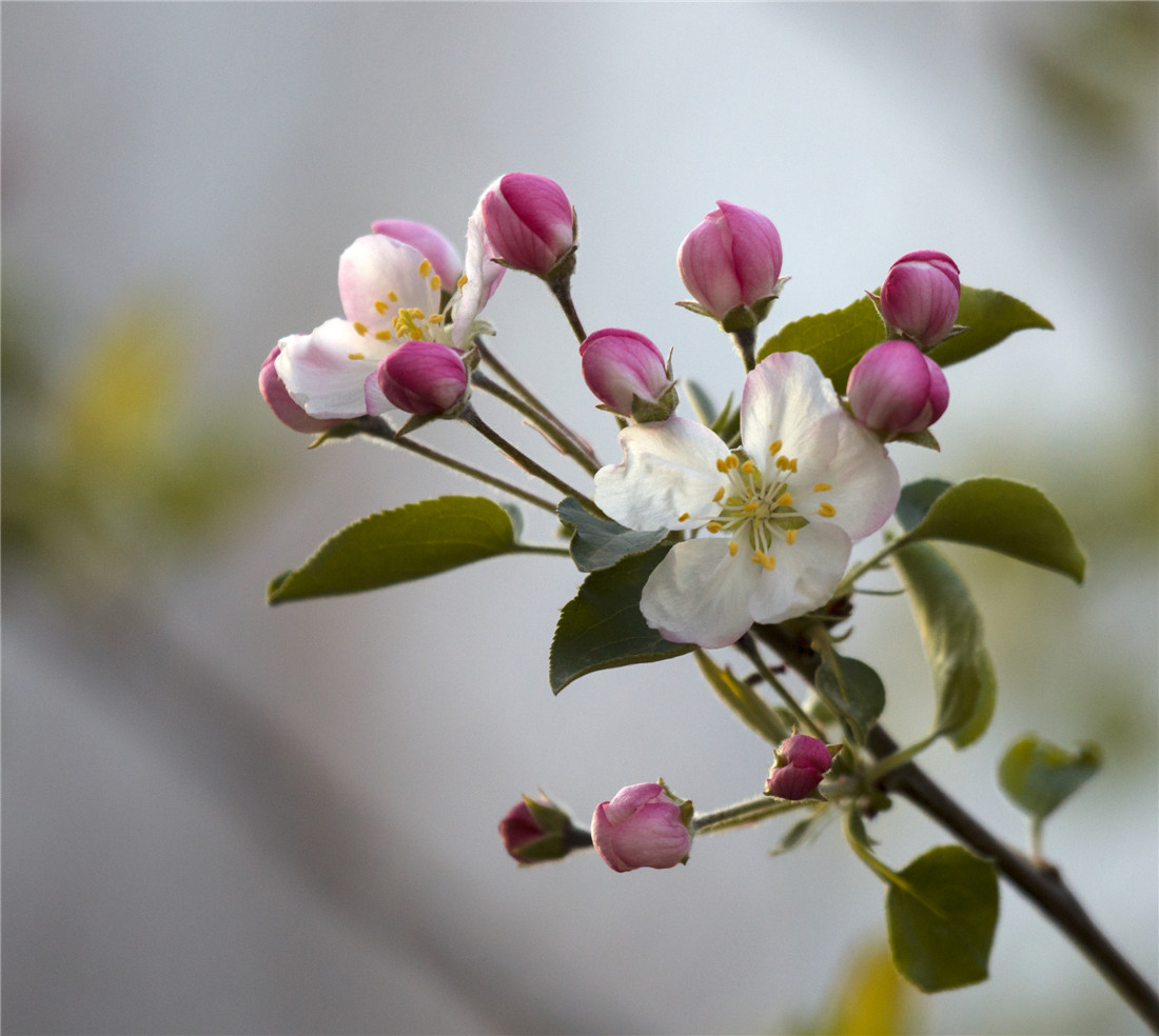 ƻ���� (6).jpg