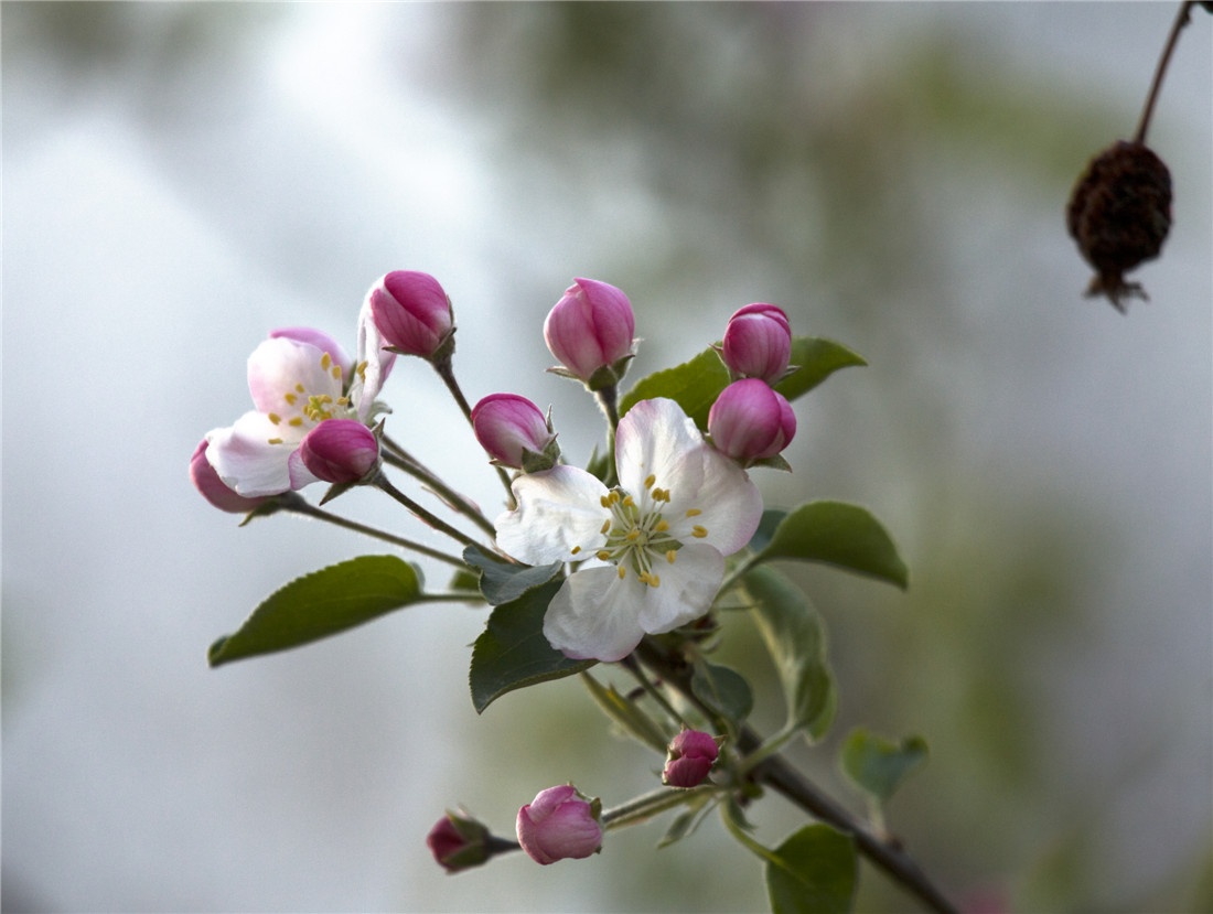 ƻ���� (3).jpg