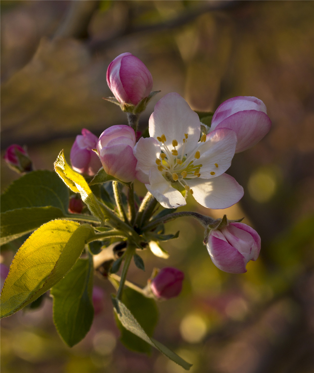 ƻ���� (8).jpg