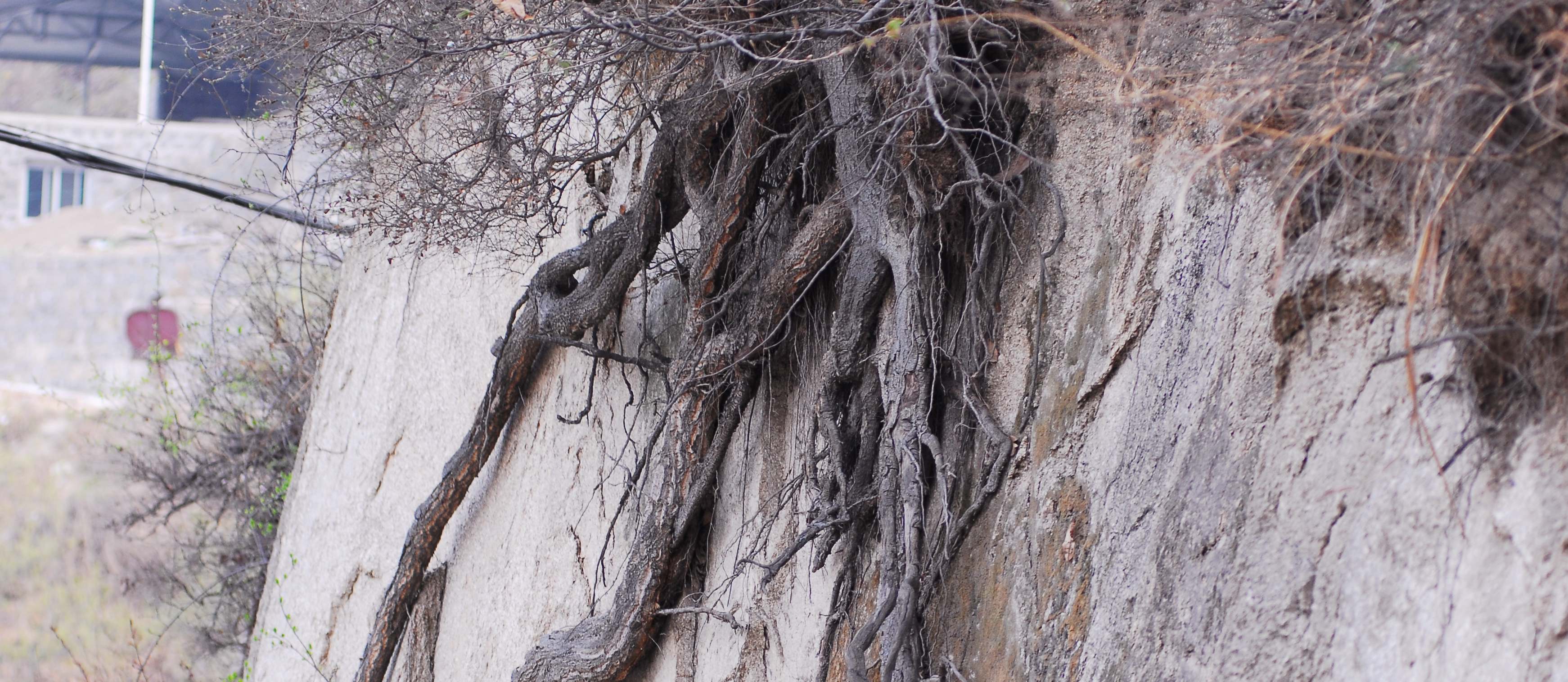 �ؽ������ֵ���