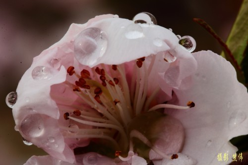 �����һ�ʢ���ĵط�